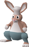 Rabbit Chef